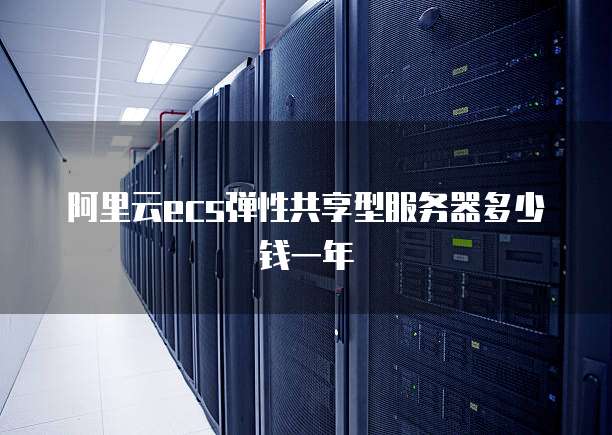 阿里云ecs弹性共享型服务器多少钱一年