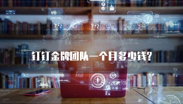 钉钉金牌团队一个月多少钱?
