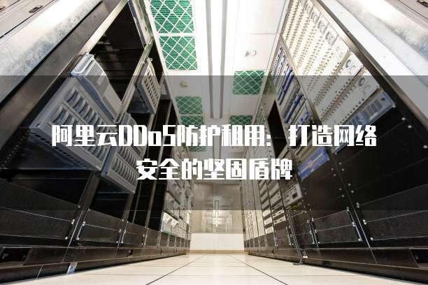 阿里云DDoS防护租用:打造网络安全的坚固盾牌