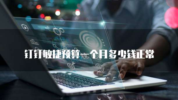 钉钉敏捷预算一个月多少钱正常