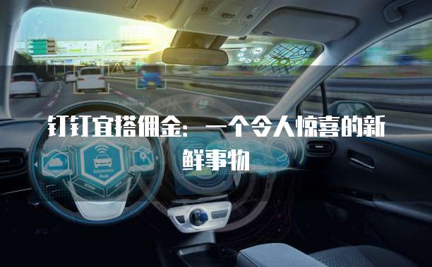 钉钉宜搭佣金:一个令人惊喜的新鲜事物
