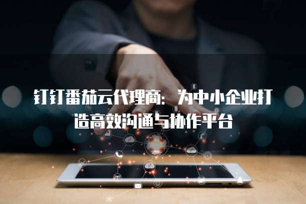 钉钉番茄云代理商:为中小企业打造高效沟通与协作平台