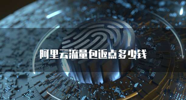 阿里云流量包返点多少钱