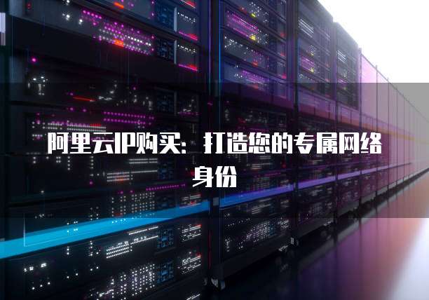阿里云IP购买:打造您的专属网络身份