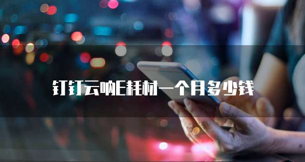 钉钉云呐E耗材一个月多少钱