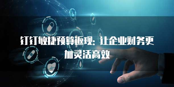钉钉敏捷预算返现: 让企业财务更加灵活高效