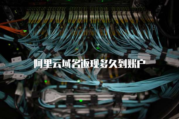 阿里云域名返现多久到账户