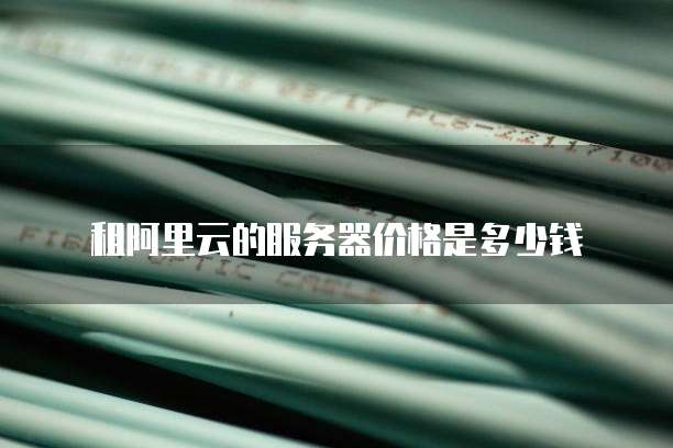 租阿里云的服务器价格是多少钱