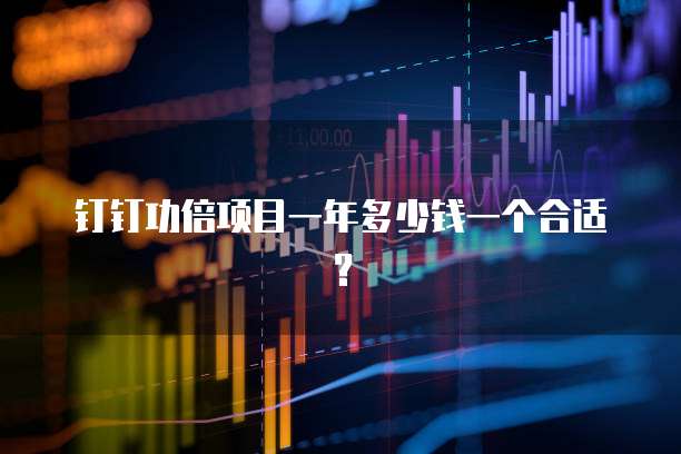 钉钉功倍项目一年多少钱一个合适?