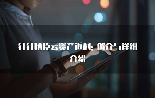 钉钉精臣云资产返利: 简介与详细介绍