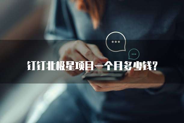 钉钉北极星项目一个月多少钱?