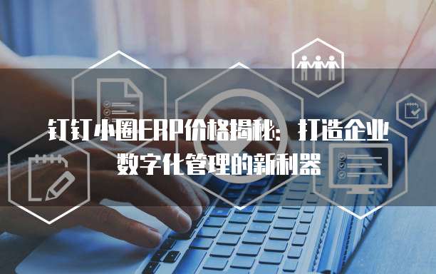 钉钉小圈ERP价格揭秘:打造企业数字化管理的新利器