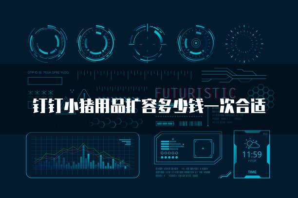 钉钉小猪用品扩容多少钱一次合适