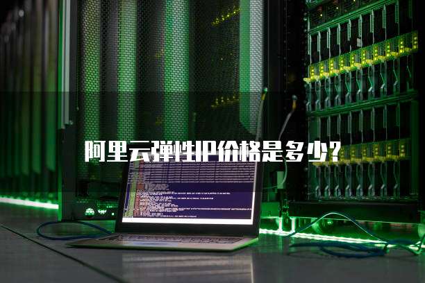 阿里云弹性IP价格是多少？