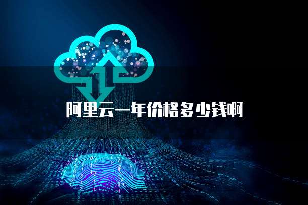 阿里云一年价格多少钱啊