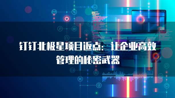钉钉北极星项目返点:让企业高效管理的秘密武器