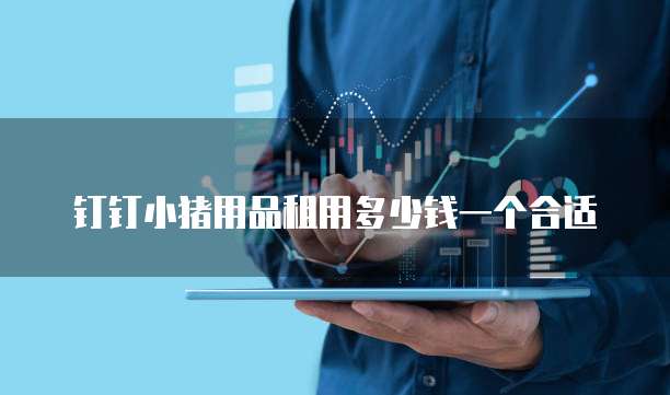 钉钉小猪用品租用多少钱一个合适