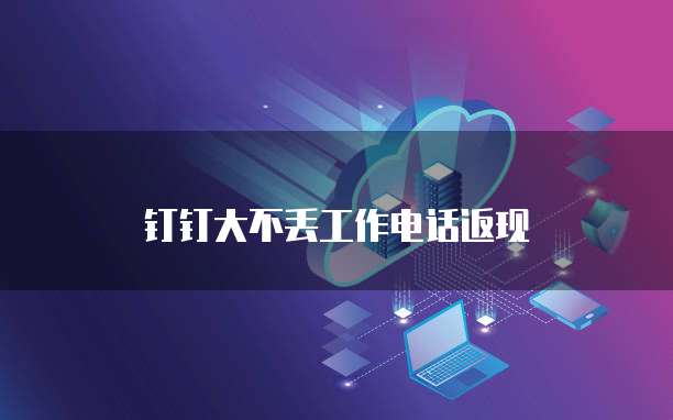 钉钉大不丢工作电话返现