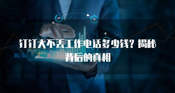 钉钉大不丢工作电话多少钱？揭秘背后的真相