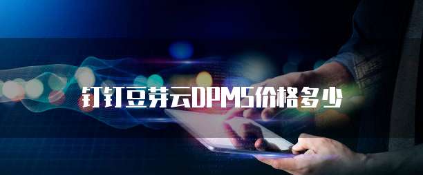 钉钉豆芽云DPMS价格多少