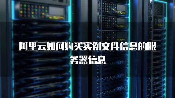 阿里云如何购买实例文件信息的服务器信息