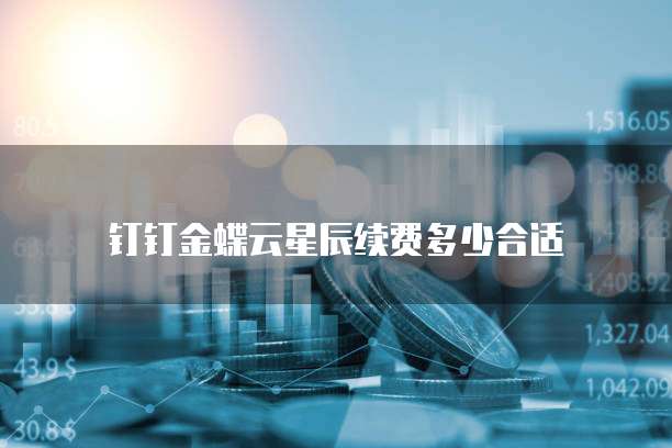钉钉金蝶云星辰续费多少合适