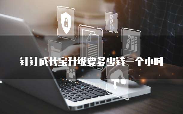 钉钉成长宝升级要多少钱一个小时