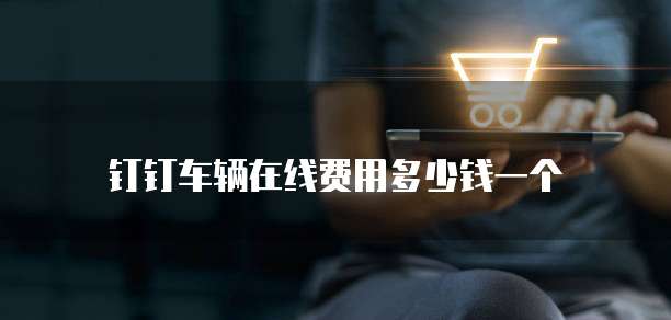 钉钉车辆在线费用多少钱一个