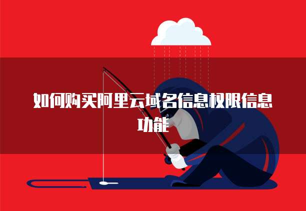 如何购买阿里云域名信息权限信息功能