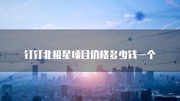 钉钉北极星项目价格多少钱一个