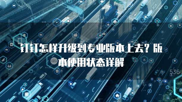 钉钉怎样升级到专业版本上去?版本使用状态详解