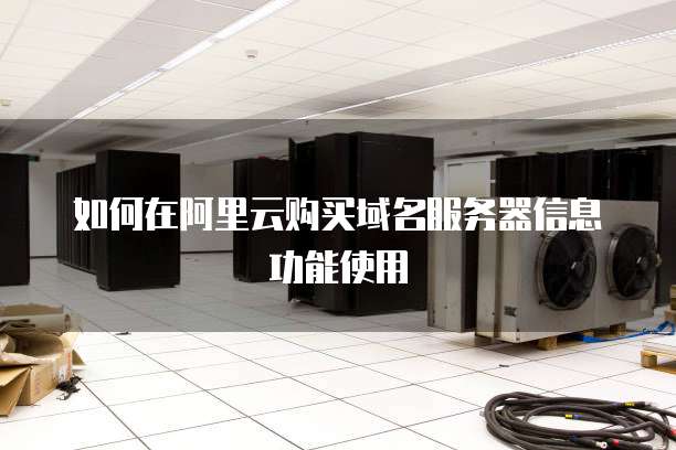 如何在阿里云购买域名服务器信息功能使用