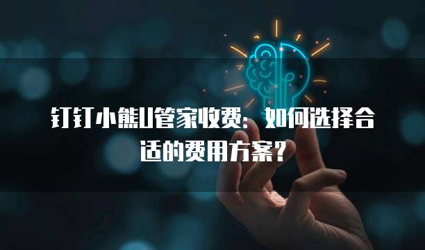 钉钉小熊U管家收费:如何选择合适的费用方案?