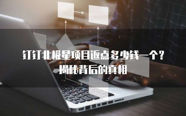 钉钉北极星项目返点多少钱一个?揭秘背后的真相