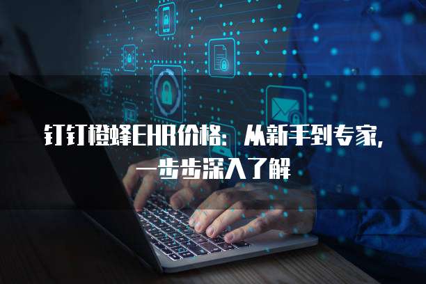 钉钉橙蜂EHR价格：从新手到专家，一步步深入了解