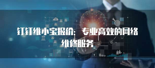 钉钉维小宝报价：专业高效的网络维修服务