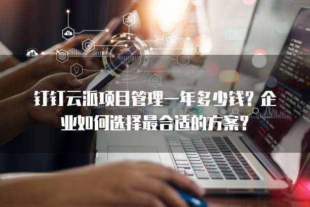 钉钉云派项目管理一年多少钱?企业如何选择最合适的方案?