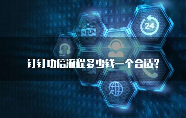 钉钉功倍流程多少钱一个合适？