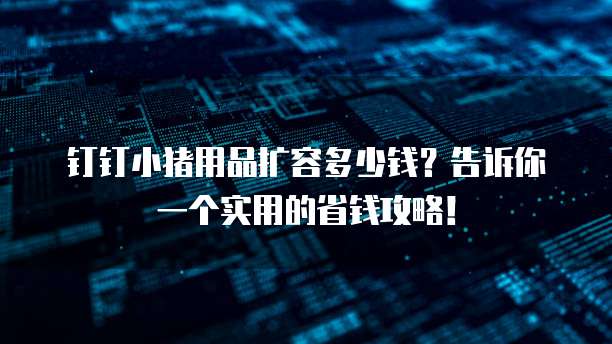 钉钉小猪用品扩容多少钱？告诉你一个实用的省钱攻略！