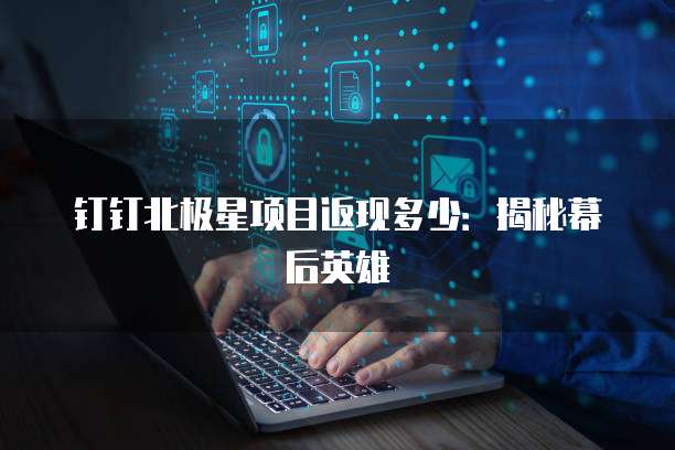 钉钉北极星项目返现多少:揭秘幕后英雄
