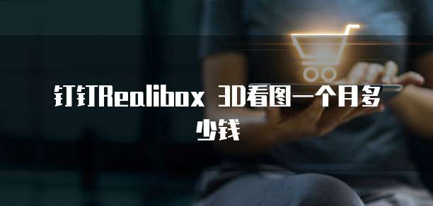 钉钉Realibox 3D看图一个月多少钱