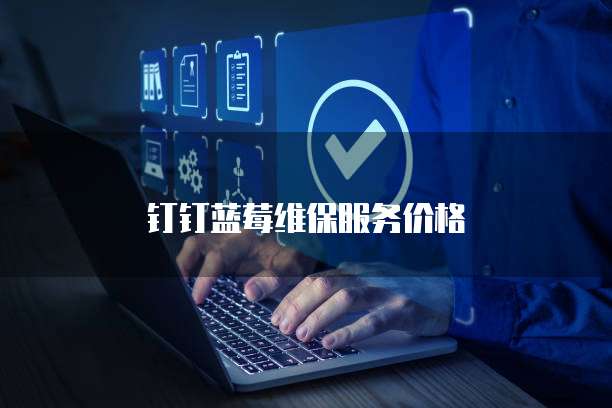 钉钉蓝莓维保服务价格