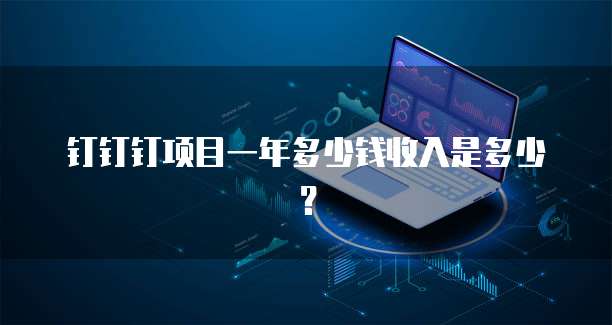 钉钉钉项目一年多少钱收入是多少？