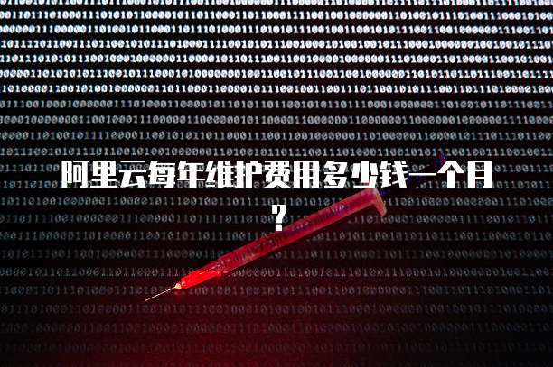 阿里云每年维护费用多少钱一个月?