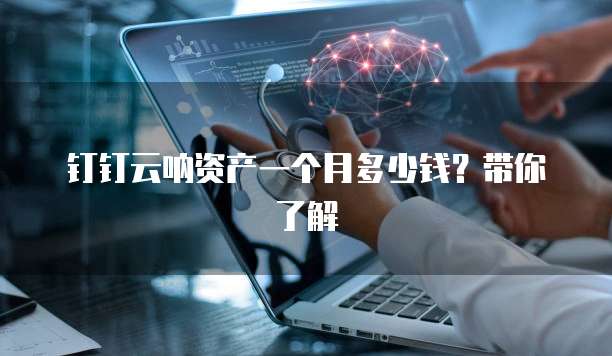 钉钉云呐资产一个月多少钱?带你了解