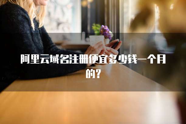 阿里云域名注册便宜多少钱一个月的?