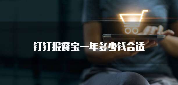 钉钉报餐宝一年多少钱合适