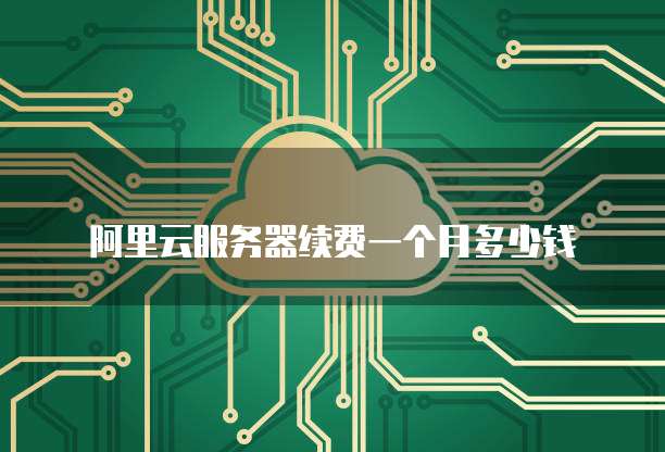 阿里云服务器续费一个月多少钱