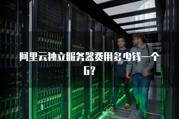 阿里云独立服务器费用多少钱一个G?