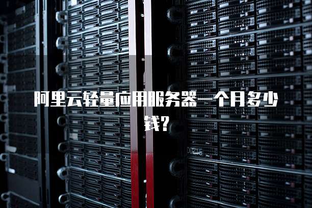 阿里云轻量应用服务器一个月多少钱?